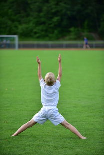 开云体育app注册-高校运动训练计划动态调整机制研究，运动训练调控