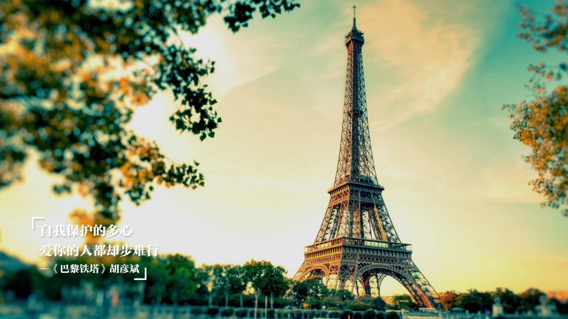 明星球员回归首战表现惊艳媒体热议,nba球星回到主场