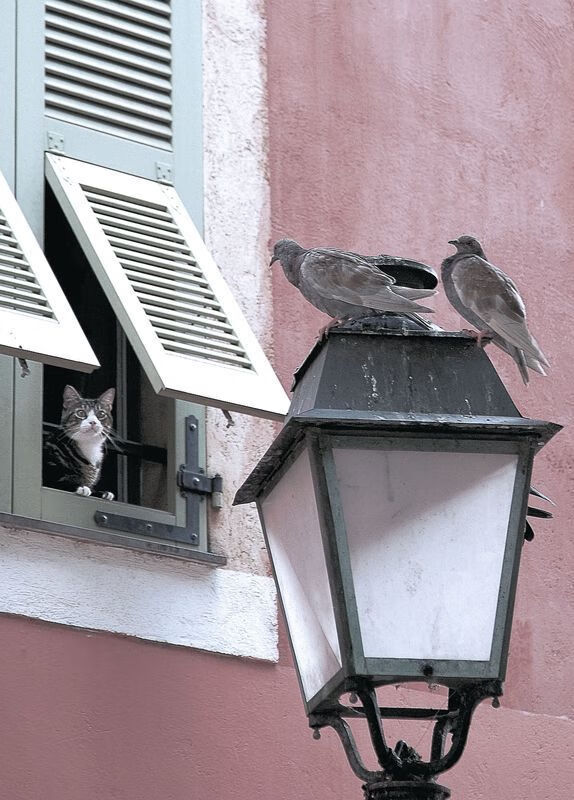 开云体育在线官网-俱乐部利用大数据分析优化训练计划提升比赛表现，大数据比赛数据分析