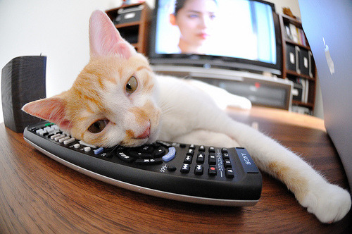 开云体育在线入口-布克突破能力大幅提升制造多次罚球机会，布克效力过哪些球队