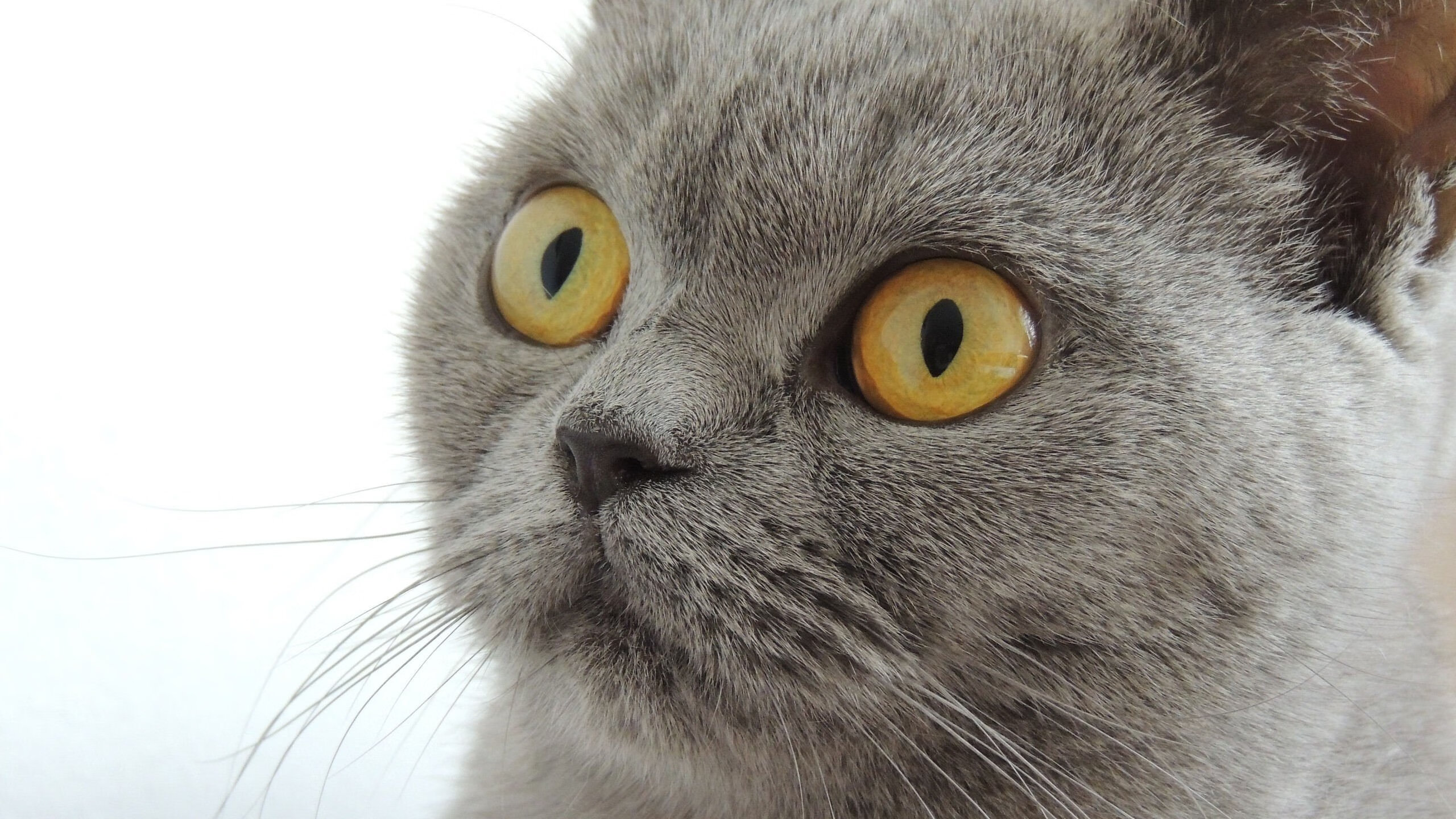 技术雷达图揭示动作动作执行一致性提升，技术雷达什么意思