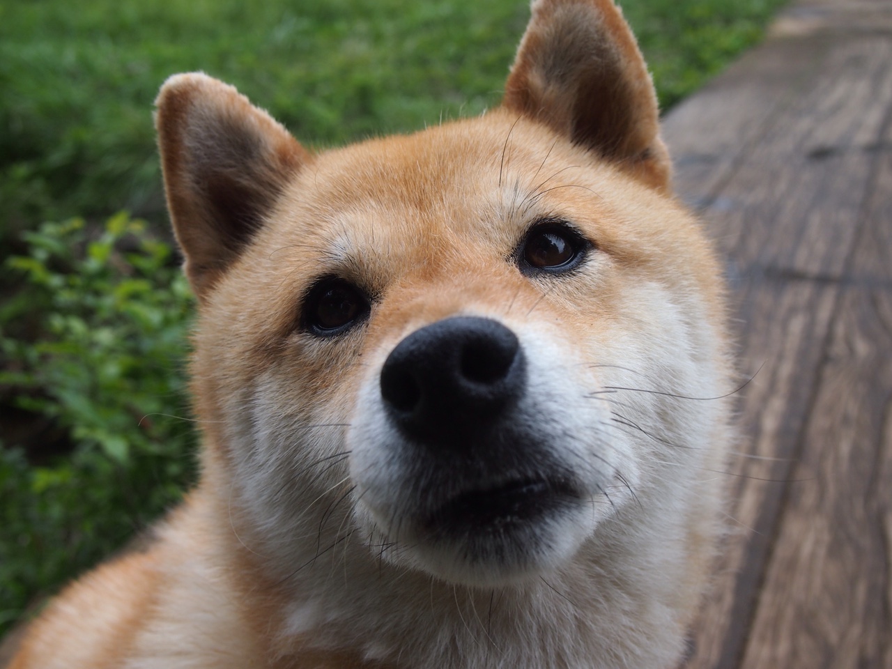 开云体育在线官网-足球明星签署年度公益合约，推动青少年体育教育，足球明星签约价格