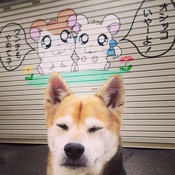 开云ky官网-跳水稳定输出中立代表队A锁定奖牌，跳水队伍