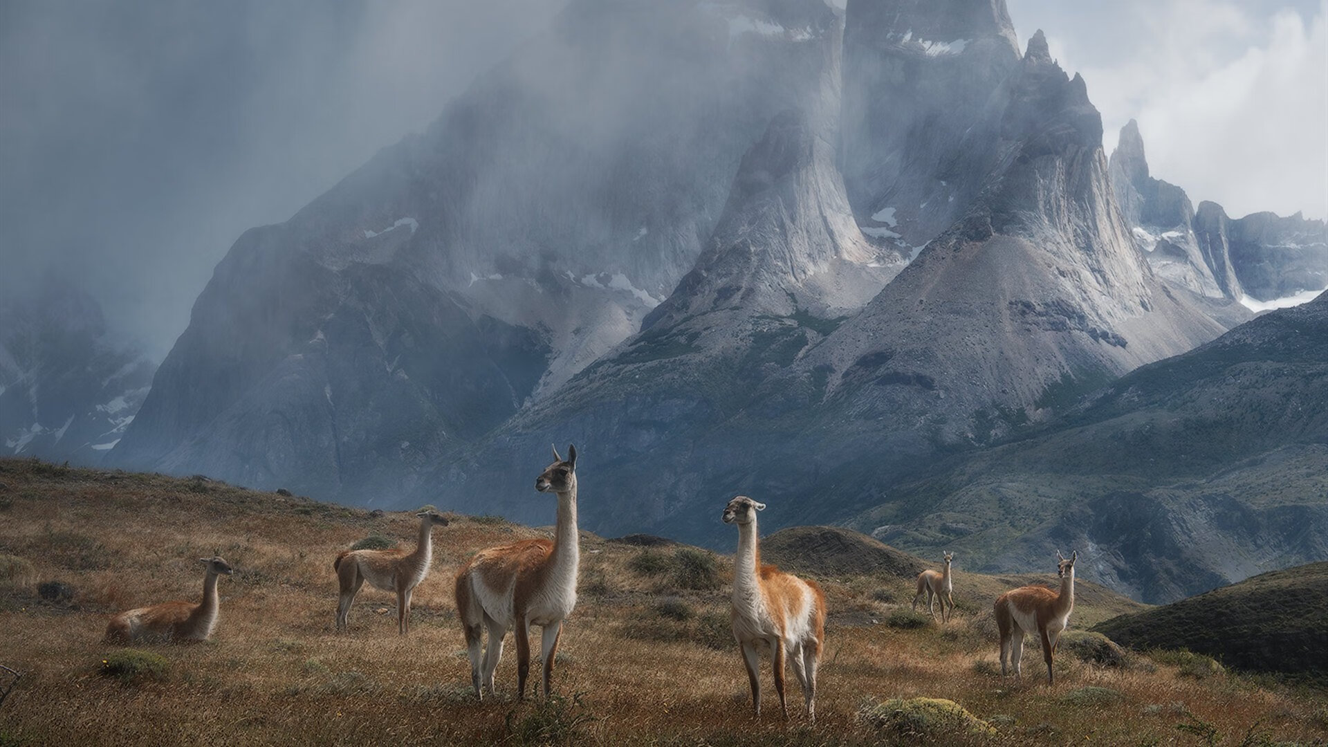 开云体育app下载-高校篮球扩大国际交流项目提升选手视野，高校篮球发展现状