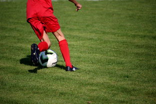 开云体育app入口-CBA是否鼓励本土教练参与联盟高阶培训体系，cba教练禁赛规定