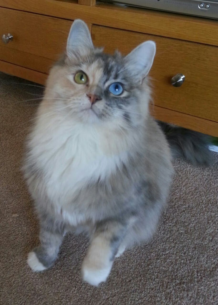 Turner 决断力强，关键时刻屡建奇功，turner prize